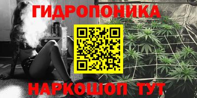 индика Гусь-Хрустальный