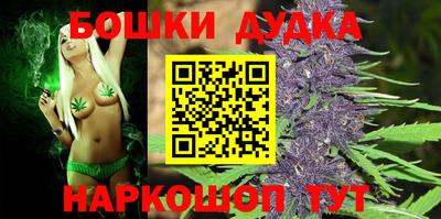 индика Гусь-Хрустальный