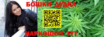 индика Гусь-Хрустальный