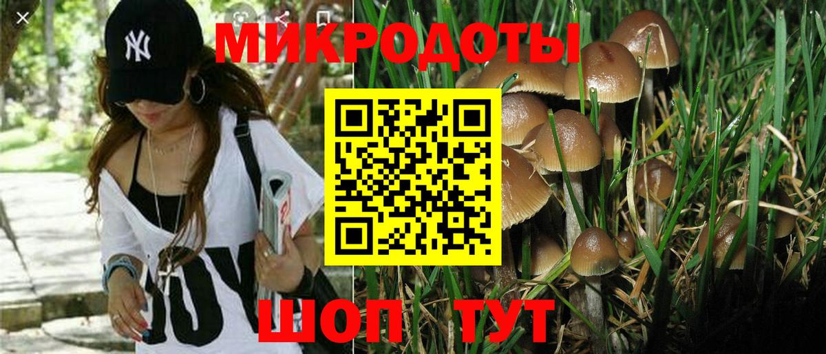 Волоколамск  Галлюциногенные грибы Psilocybine cubensis  сколько стоит  Вход с VPN  Галлюциногенные грибы мухоморы 